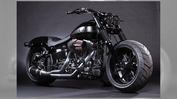 Sydney Harley Davidson Black Panther