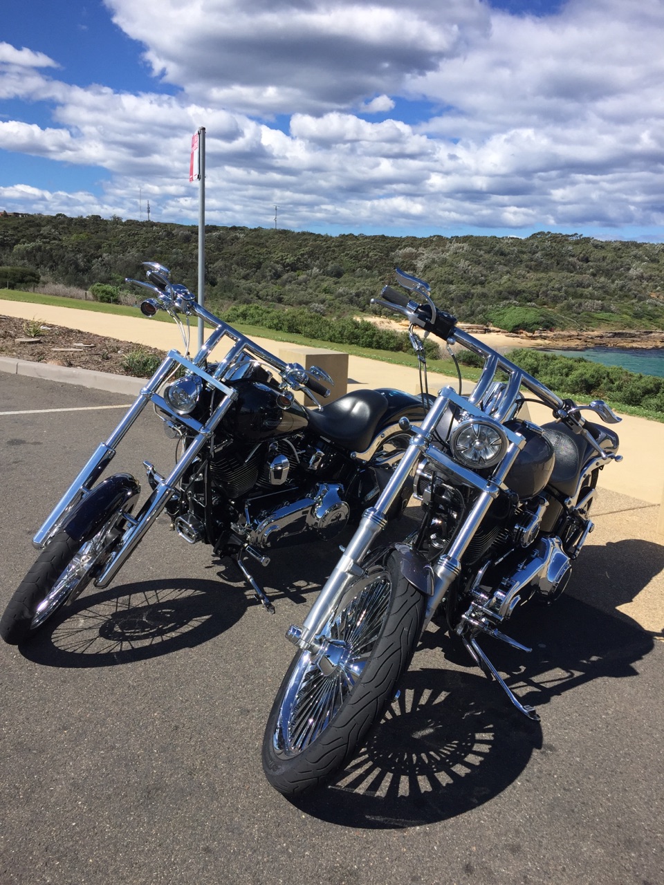 Tbars Softail Night Train Standard Beach Photos (3)