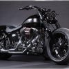 Sydney Harley Davidson Black Panther